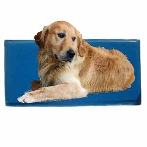 dogpad.jpg